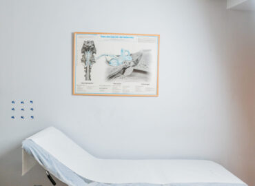 Clínica Maisonnave-168